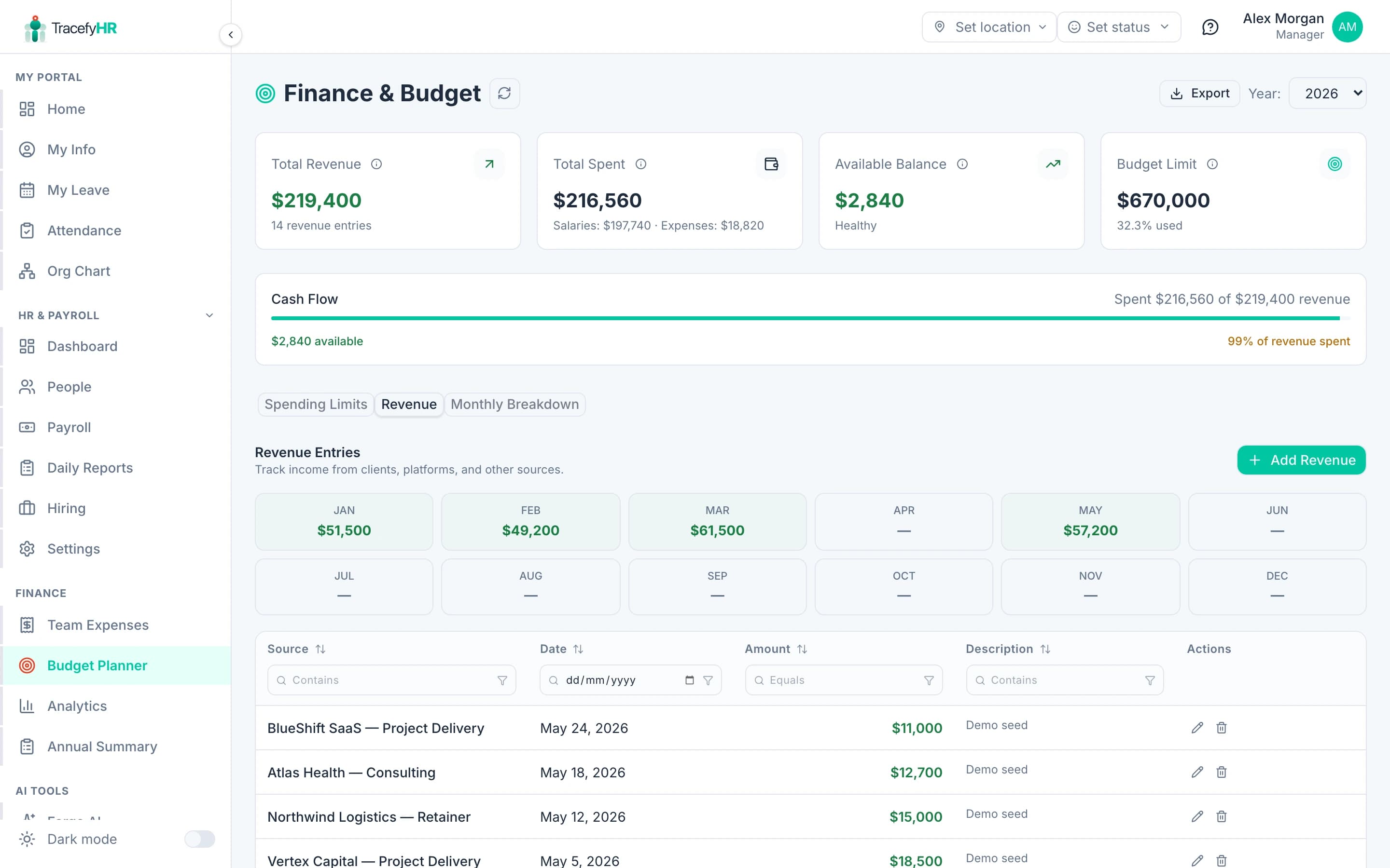 The Budget Planner with annual and monthly tabs